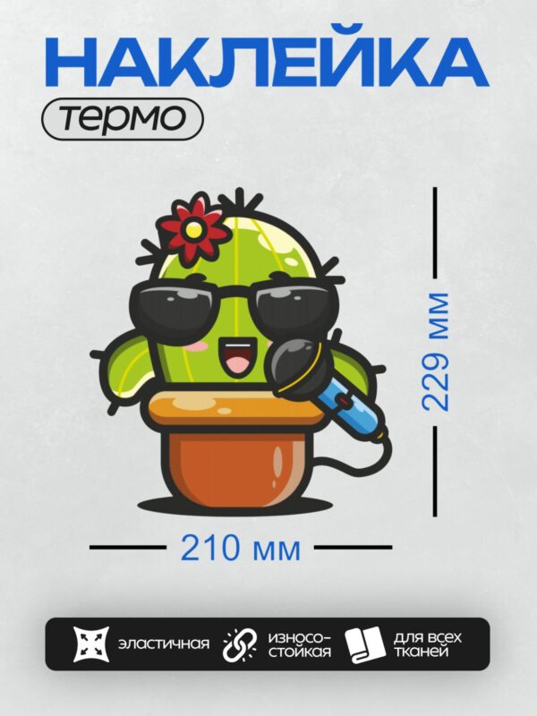 Термонаклейка на одежду DTF / Мультяшный кактус в очках с микрофоном и цветком.
