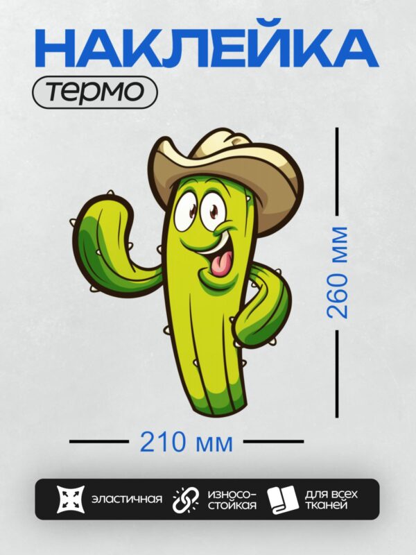 Термонаклейка на одежду DTF / Мультяшный кактус в сомбреро, веселый и яркий.