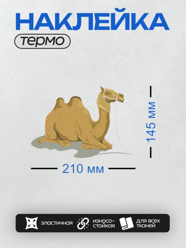 Термонаклейка на одежду DTF / Мультяшный двугорбый верблюд сидит на земле.