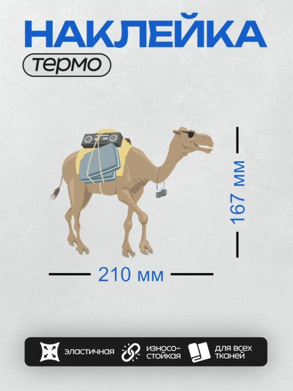 Термонаклейка на одежду DTF / Верблюд с бумбоксом и фотоаппаратом на спине.