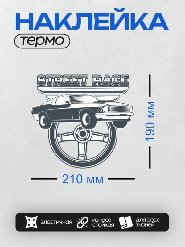 Термонаклейка на одежду DTF / Логотип с надписью "Street Race" и изображением автомобиля.