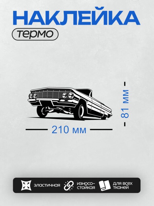 Термонаклейка на одежду DTF / Черно-белый силуэт лоурайдера в движении.