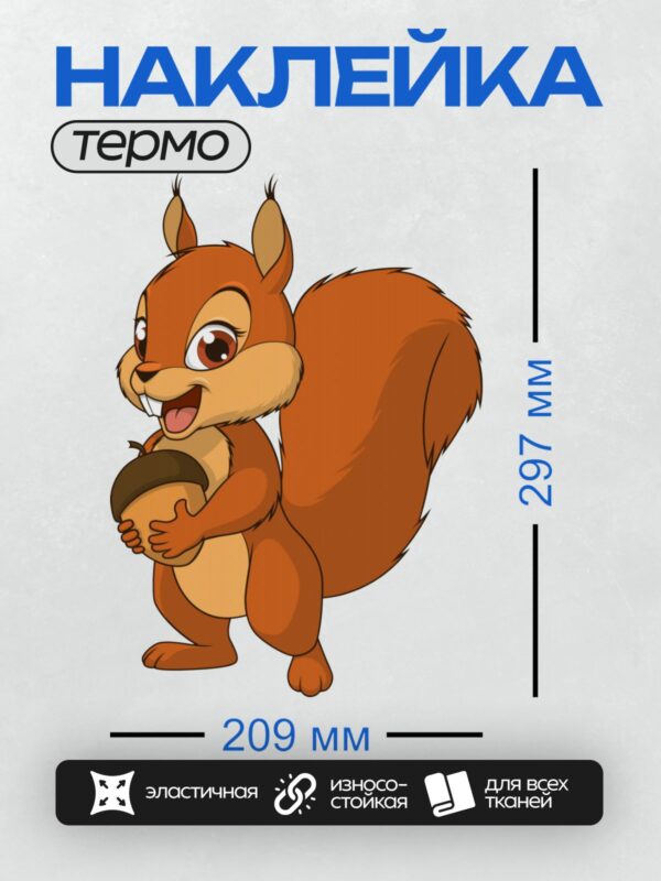 Термонаклейка на одежду DTF / Мультяшная белка с желудем в лапках.