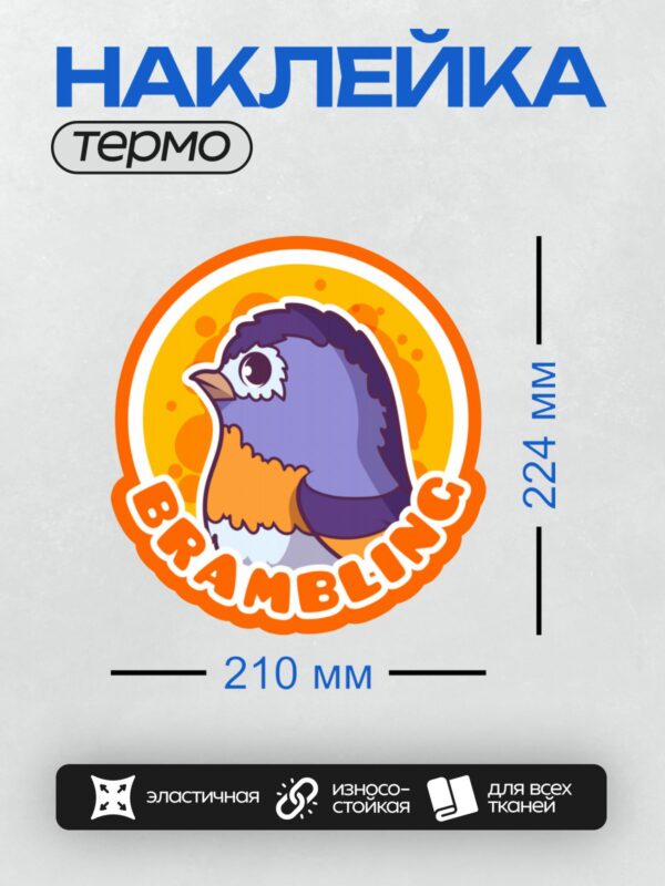 Термонаклейка на одежду DTF / Мультяшная птица с надписью "Parabird" на оранжевом фоне.