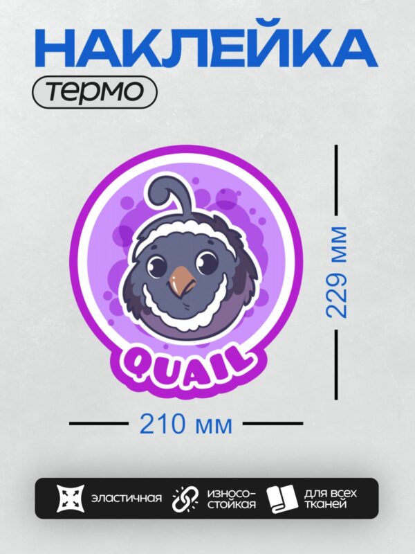 Термонаклейка на одежду DTF / Мультяшный перепел с надписью "QUAIL" на фиолетовом фоне.