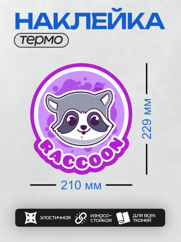 Термонаклейка на одежду DTF / Мультяшный енот с надписью "Raccoon".