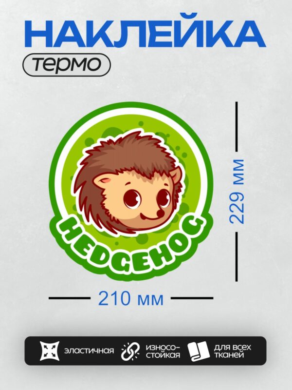 Термонаклейка на одежду DTF / Мультяшный ёжик с надписью "Hedgehog" на зелёном фоне.