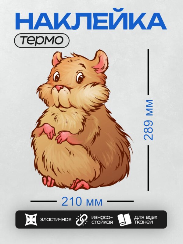 Термонаклейка на одежду DTF / Мультяшный хомяк с пушистой шерстью и большими глазами.
