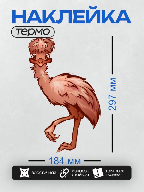 Термонаклейка на одежду DTF / Мультяшный эму с пушистыми перьями и большими глазами.