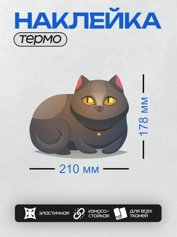 Термонаклейка на одежду DTF / Серый кот с яркими желтыми глазами.