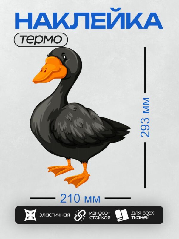Термонаклейка на одежду DTF / Черная утка с оранжевым клювом и лапами.