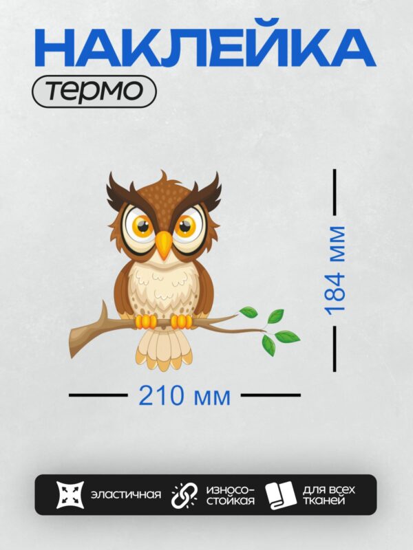 Термонаклейка на одежду DTF / Мультяшная сова с большими глазами на ветке.