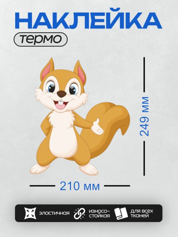 Термонаклейка на одежду DTF / Мультяшная белка с большими глазами и пушистым хвостом.