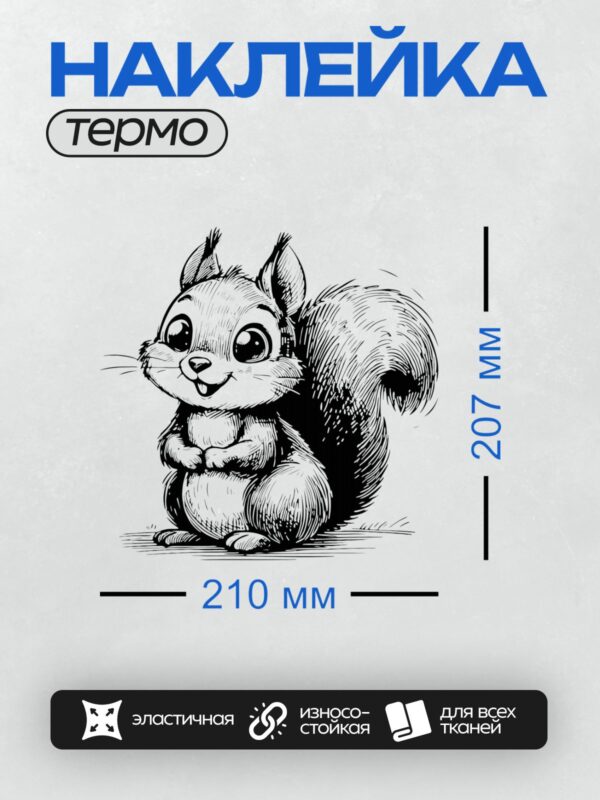 Термонаклейка на одежду DTF / Стилизованная белка с большими глазами и пушистым хвостом.