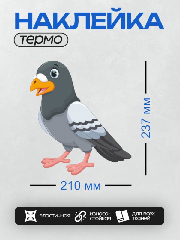 Термонаклейка на одежду DTF / Мультяшный голубь с ярким клювом и большими глазами.
