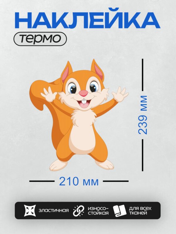 Термонаклейка на одежду DTF / Мультяшная белка с большими глазами и пушистым хвостом.