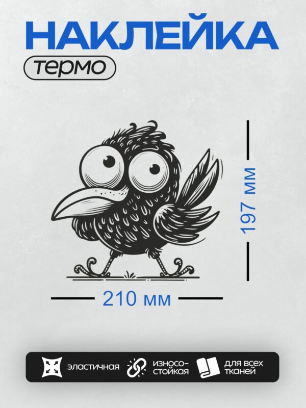 Термонаклейка на одежду DTF / Мультяшная ворона с большими глазами.