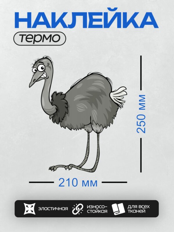 Термонаклейка на одежду DTF / Мультяшный страус эму с забавным выражением лица.