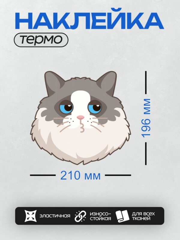Термонаклейка на одежду DTF / Милый мультяшный кот с большими голубыми глазами.