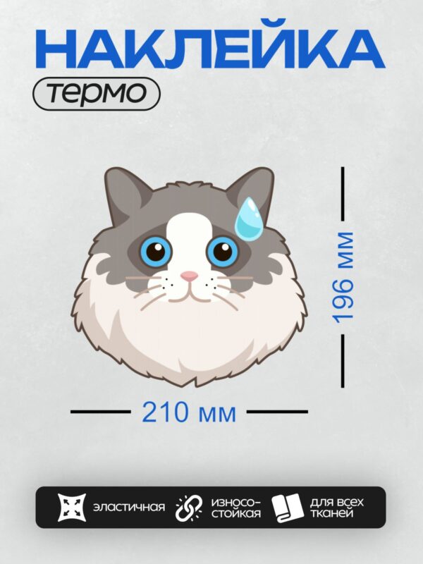 Термонаклейка на одежду DTF / Милый серый котик с большими голубыми глазами и капелькой пота.