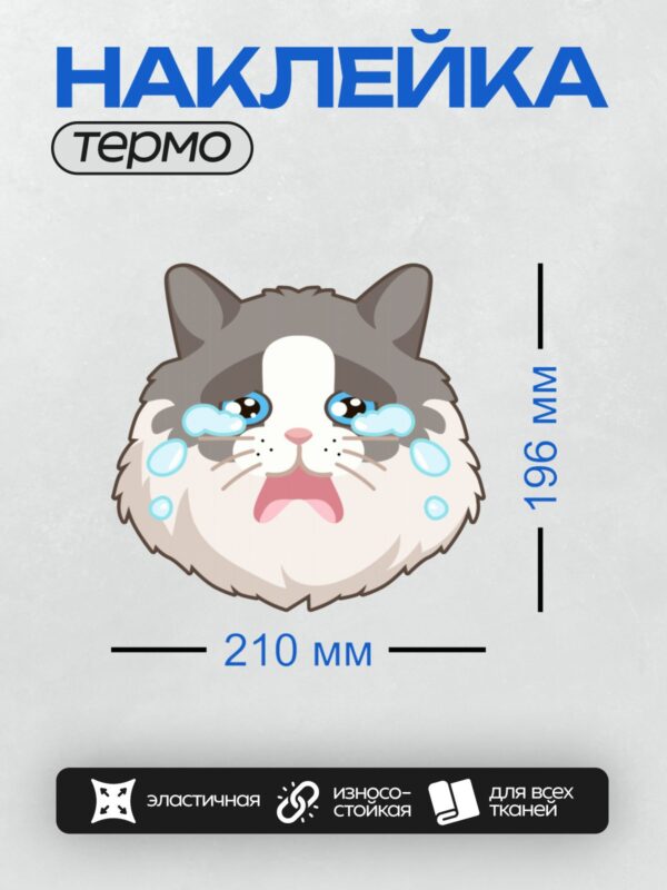 Термонаклейка на одежду DTF / Мультяшный серый кот плачет большими слезами.