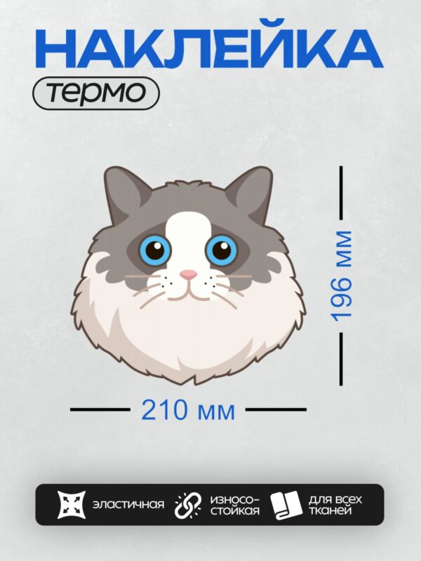 Термонаклейка на одежду DTF / Мультяшный кот с большими голубыми глазами.