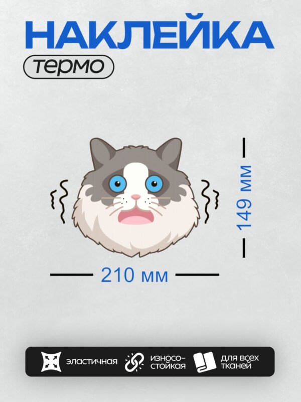 Термонаклейка на одежду DTF / Мультяшный кот с большими голубыми глазами и удивлённым выражением лица.