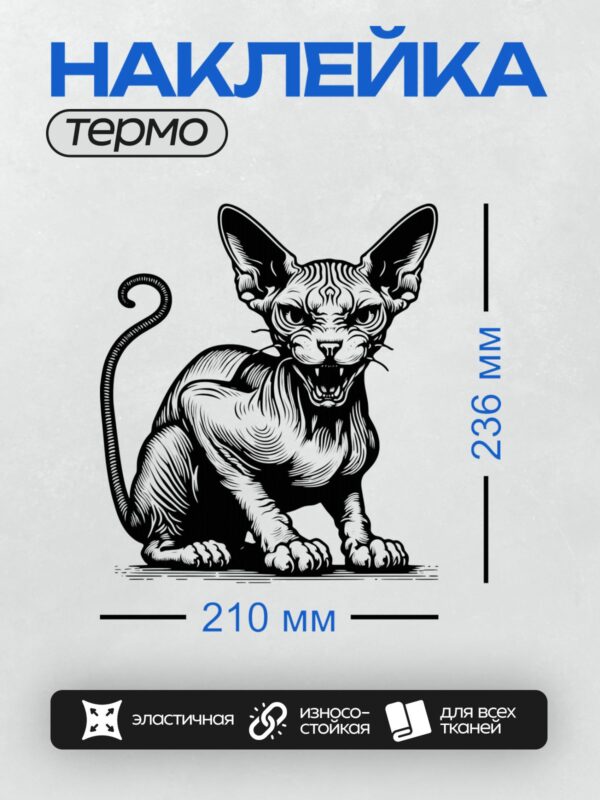 Термонаклейка на одежду DTF / Черно-белый рисунок кошки породы сфинкс.