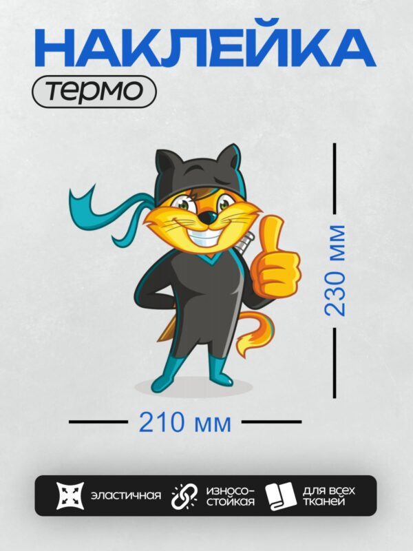 Термонаклейка на одежду DTF / Мультяшный рыжий кот в костюме ниндзя.