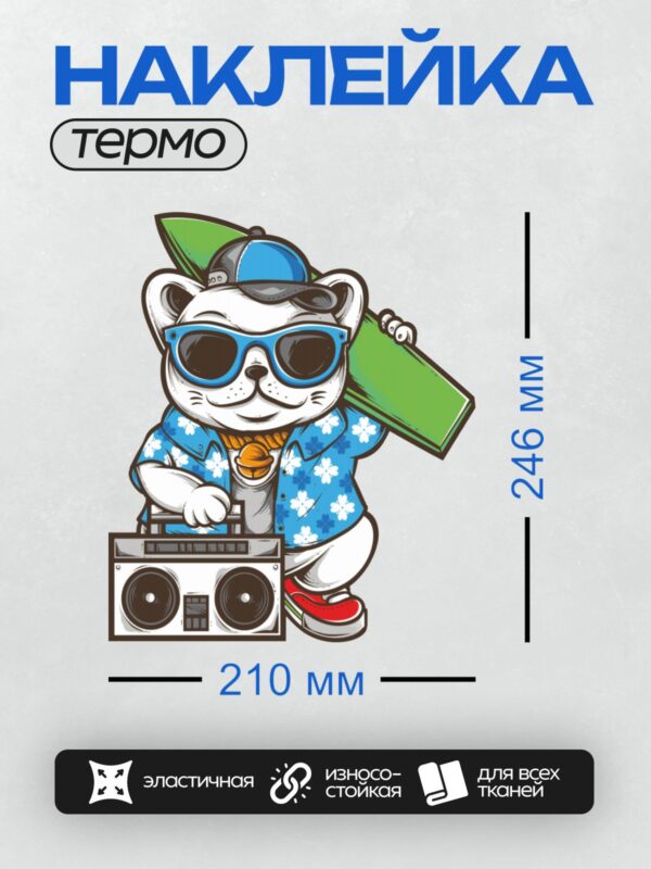 Термонаклейка на одежду DTF / Мультяшный кот в стиле хип-хоп с бумбоксом и доской для серфинга.