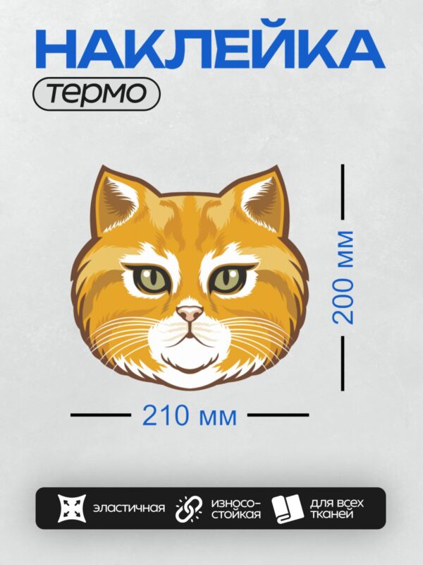 Термонаклейка на одежду DTF / Оранжевая кошка с большими зелеными глазами, стилизованный рисунок.