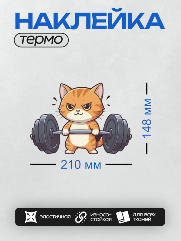 Термонаклейка на одежду DTF / Рыжий кот с белым животом поднимает штангу.