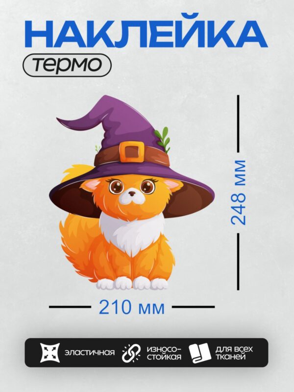 Термонаклейка на одежду DTF / Рыжий кот в шляпе ведьмы с зелёным листиком.