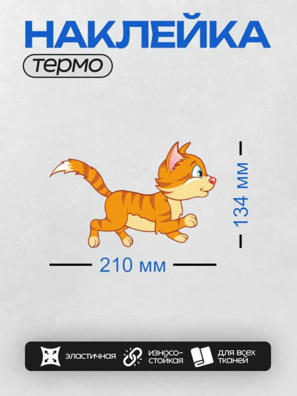Термонаклейка на одежду DTF / Рыжий полосатый котёнок с большими глазами.