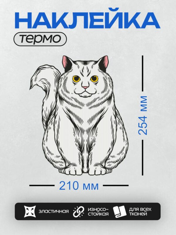 Термонаклейка на одежду DTF / Белый пушистый кот с яркими желтыми глазами.