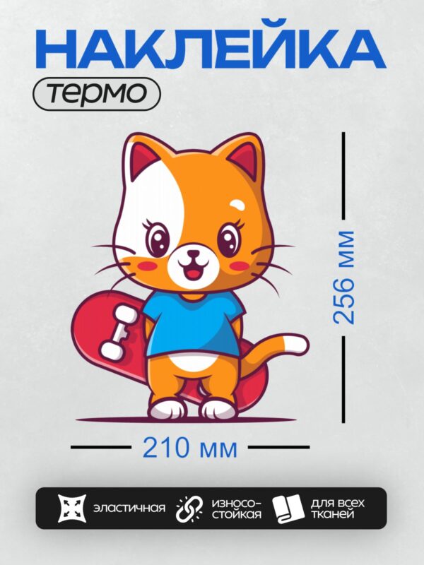Термонаклейка на одежду DTF / Мультяшный кот с большими глазами, полосатым хвостом и скейтбордом.