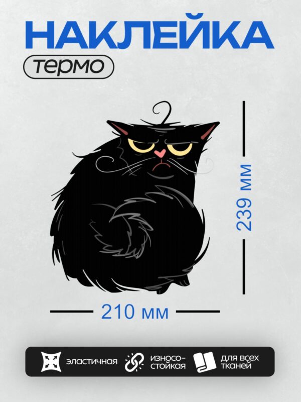 Термонаклейка на одежду DTF / Чёрный мультяшный кот с недовольным выражением лица.