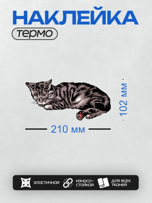Термонаклейка на одежду DTF / Спящий полосатый кот с розовыми подушечками лап.