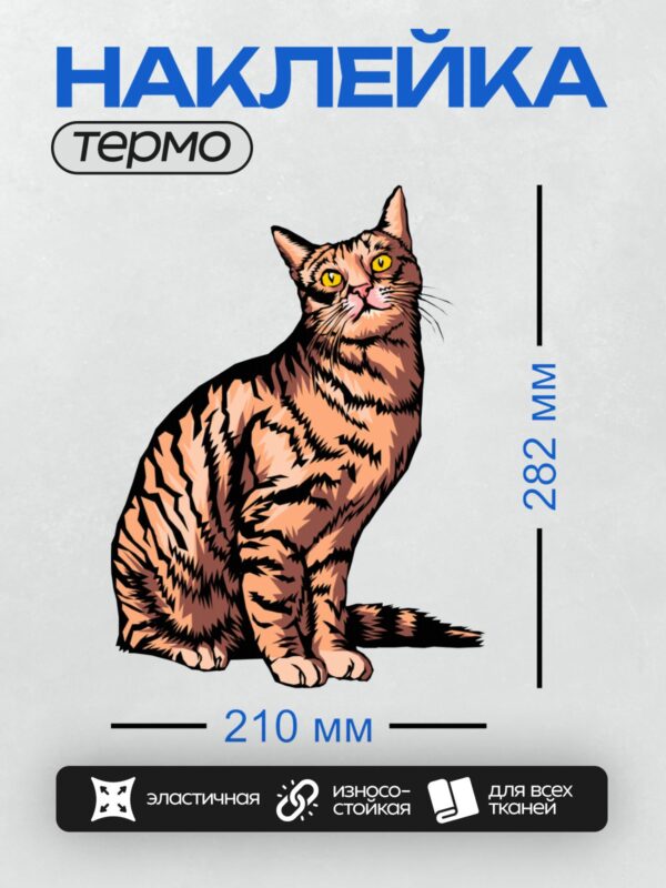 Термонаклейка на одежду DTF / Мультяшный полосатый кот с яркими глазами.