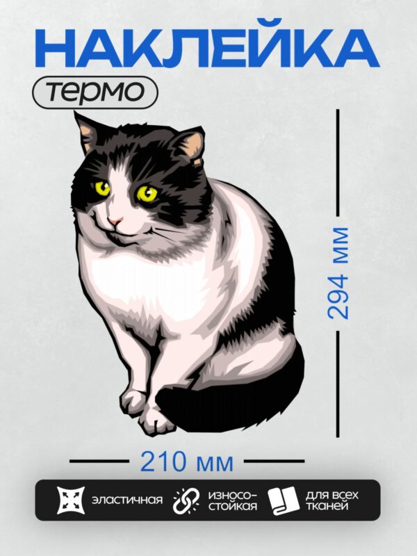 Термонаклейка на одежду DTF / Черно-белая кошка с желтыми глазами и розовым носом.