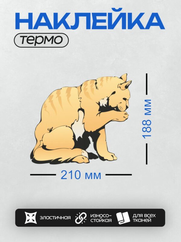 Термонаклейка на одежду DTF / Рыжий тигр сидит и умывается лапой.