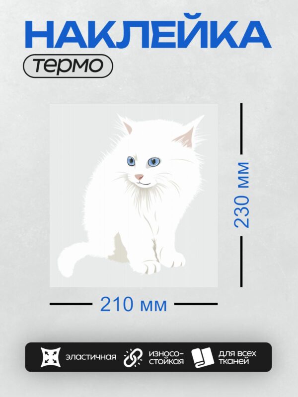 Термонаклейка на одежду DTF / Белый пушистый котёнок с голубыми глазами и розовым носом.