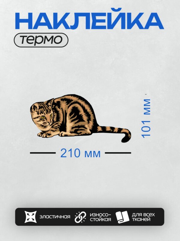 Термонаклейка на одежду DTF / Мультяшный полосатый кот с яркими глазами.