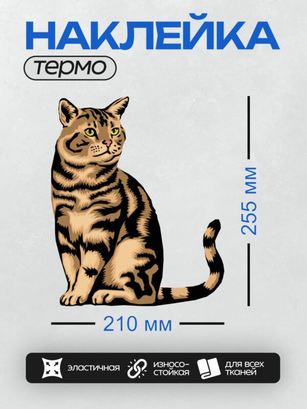 Термонаклейка на одежду DTF / Полосатый кот с зелёными глазами, стилизованный рисунок.