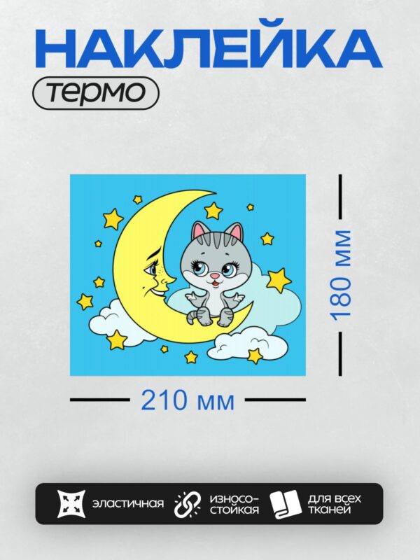 Термонаклейка на одежду DTF / Котёнок сидит на луне среди звёзд и облаков.