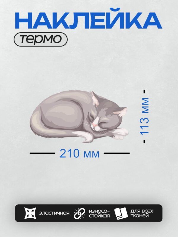 Термонаклейка на одежду DTF / Спящий серый кот, свернувшийся клубочком.
