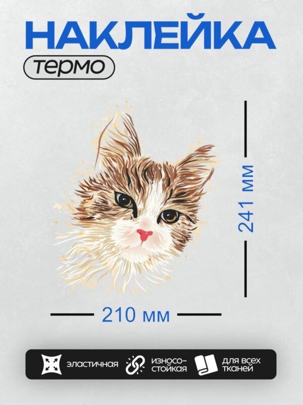Термонаклейка на одежду DTF / Рыжий котёнок с большими глазами и красным носиком.