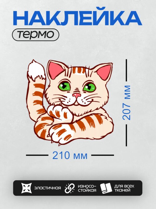 Термонаклейка на одежду DTF / Мультяшный полосатый кот с зелёными глазами.