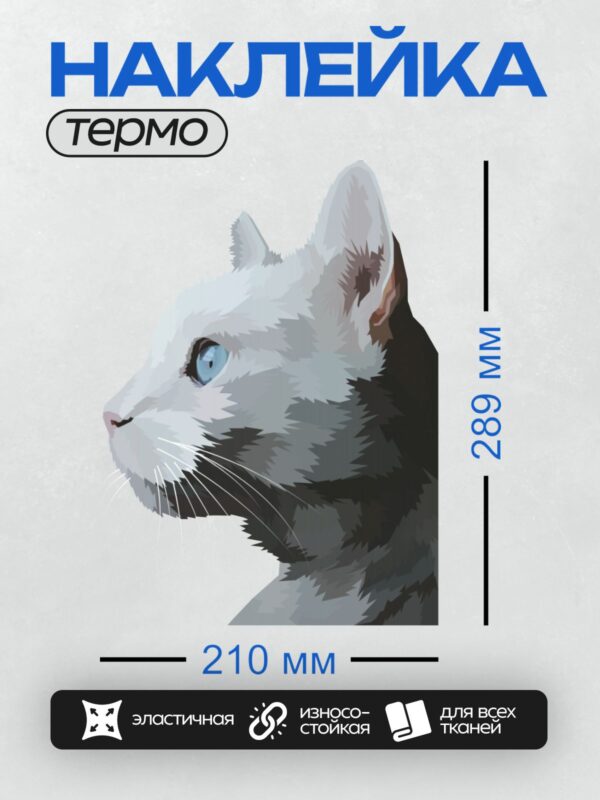 Термонаклейка на одежду DTF / Стилизованный кот с голубыми глазами и черно-белой шерстью.