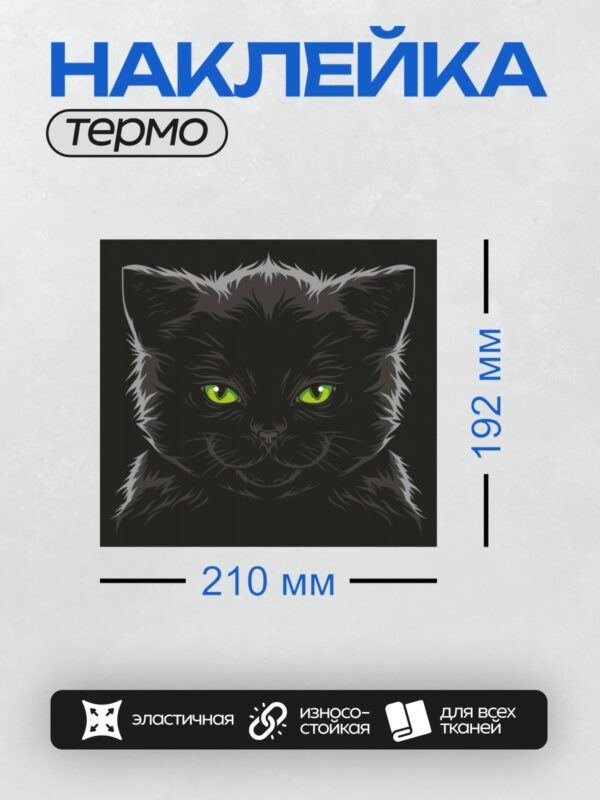 Термонаклейка на одежду DTF / Чёрный котёнок с яркими зелёными глазами.